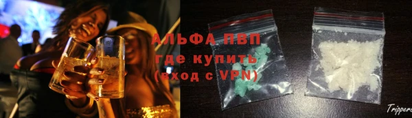 стаф Арсеньев