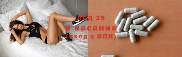 стаф Арсеньев
