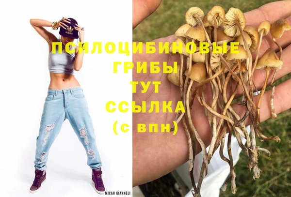 мет Аркадак
