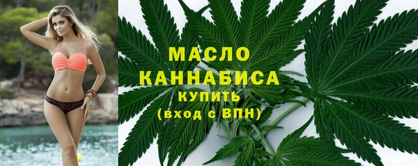стаф Арсеньев