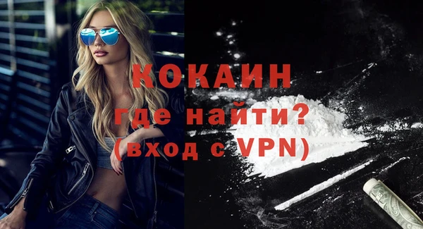 стаф Арсеньев