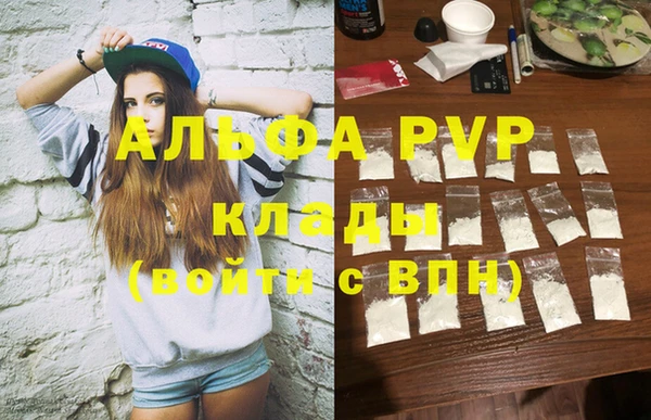 стаф Арсеньев