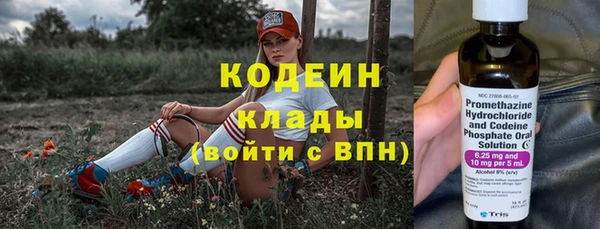 стаф Арсеньев