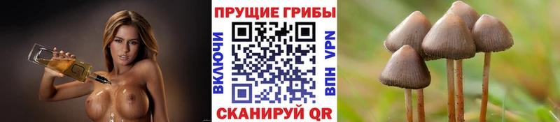 Галлюциногенные грибы мухоморы  Новоульяновск 
